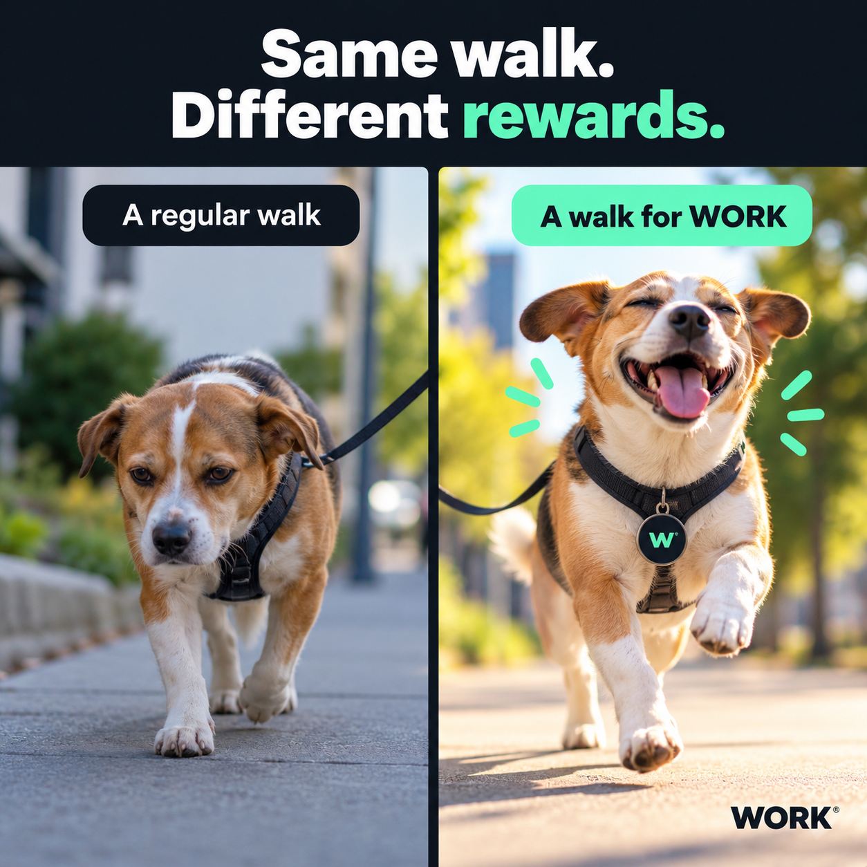 Walking for WORK meme